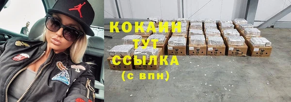 сатива Алзамай