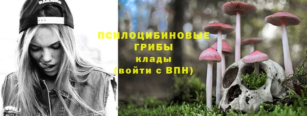 сатива Алзамай