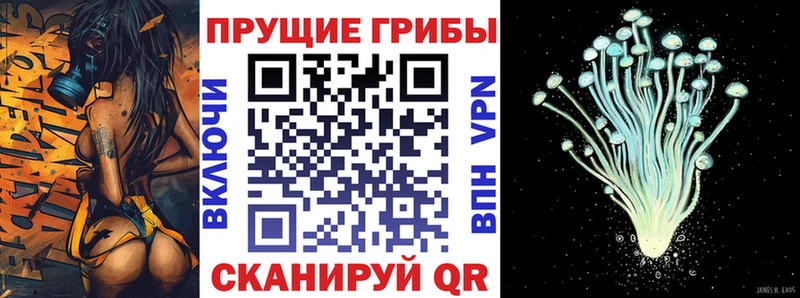 Галлюциногенные грибы мицелий  Кохма 